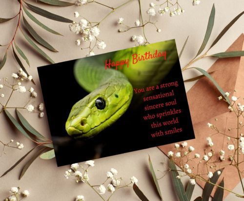 Snake Birthday Card - Image 4