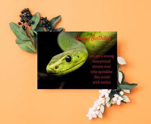 Snake Birthday Card - Image 3