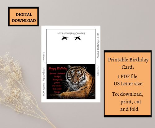 Tiger Birthday Card - Image 2