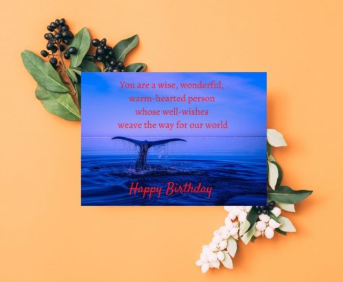 Whale Birthday Card - Image 3
