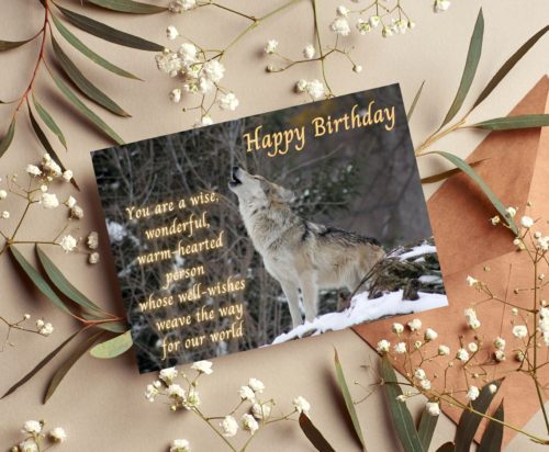 Wolf Birthday Card - Image 3