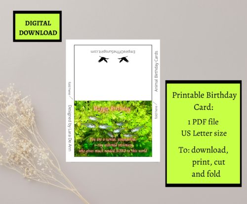 X-ray Tetra Birthday Card - Image 2