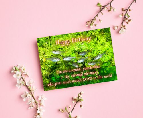 X-ray Tetra Birthday Card - Image 3
