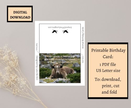 Yak Birthday Card - Image 2