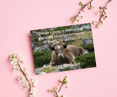 Yak Birthday Card - Image 5