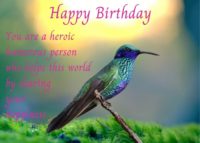 Hummingbird Birthday Card