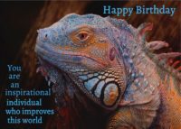 Iguana Birthday Card