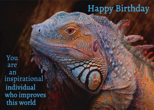 Iguana Birthday Card