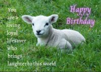 Lamb Birthday Card