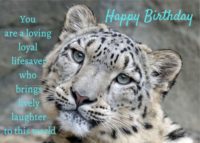 Leopard Birthday Card