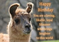 Llama Birthday Card