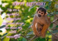 Monkey Birthday Card