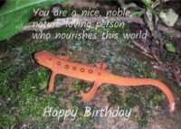 Newt Birthday Card