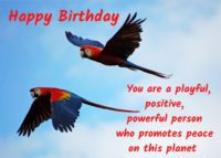 Parrot Birthday Card