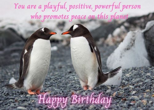Penguin Birthday Card