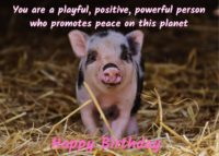 Pig Birthday Card