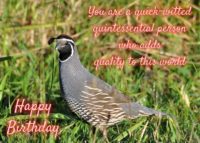 Quail Birthday Card