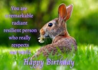 Rabbit Birthday Card