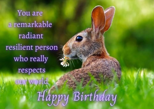 Rabbit Birthday Card