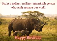 Rhino Birthday Card