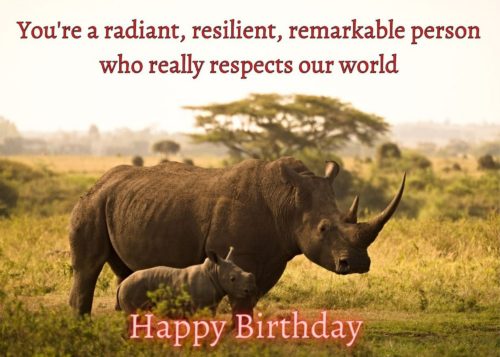 Rhino Birthday Card