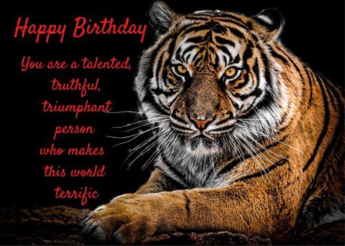 Tiger Birthday Card