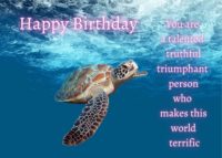 Turtle Birthday Card
