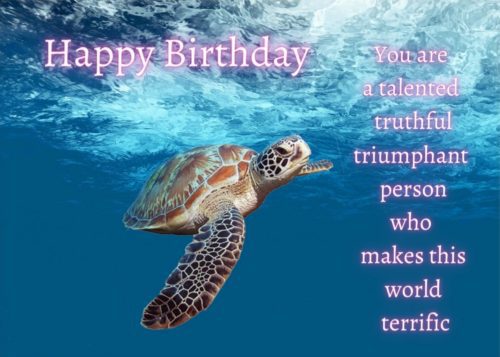 Turtle Birthday Card