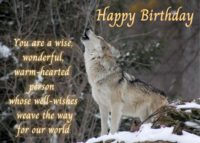 Wolf Birthday Card