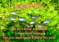 X-ray Tetra Birthday Card