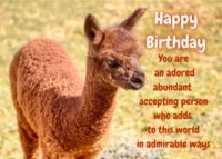 Alpaca Birthday Card
