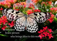 Butterfly Birthday Card