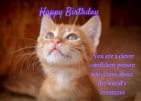 Cat Birthday Card