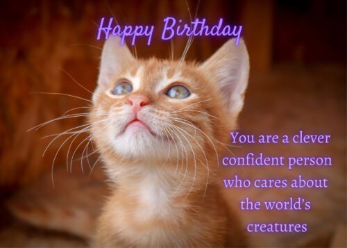 Cat Birthday Card