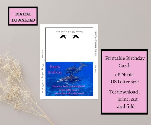 Dolphin Birthday Card - Image 2