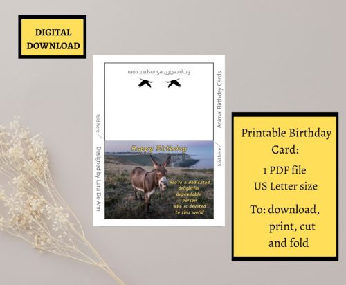 Donkey Birthday Card - Image 2