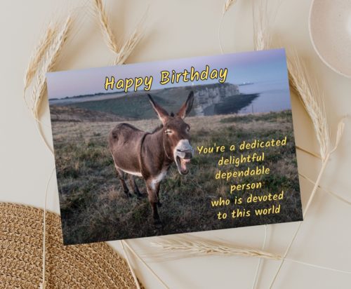 Donkey Birthday Card - Image 3