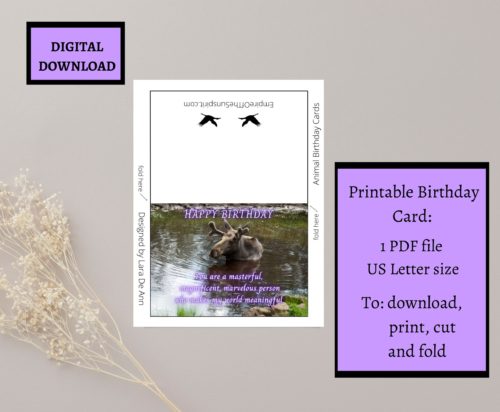 Moose Birthday Card - Image 2
