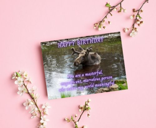 Moose Birthday Card - Image 3