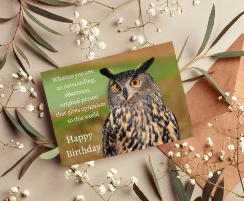 Owl Birthday Card - Image 3