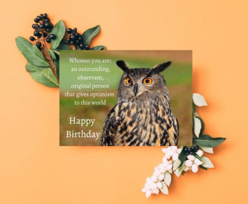 Owl Birthday Card - Image 4