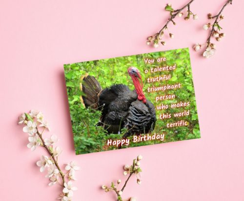 Turkey Birthday Card - Image 4