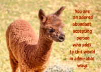 Alpaca Celebrating You Card