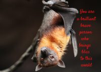 Bat Celebrating You Card