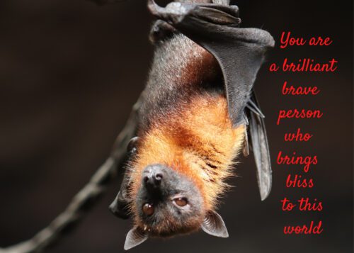 Bat Celebrating You Card