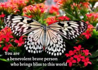 Butterfly Celebrating You Card