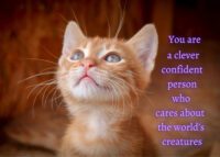 Cat Celebrating You Card