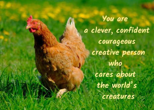 Chicken Celebrating You Card