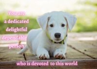 Dog Celebrating You Card