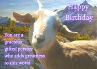 Goat Birthday Card
